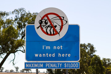 Roadsign Fruit Fly