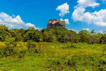 Fototapeta na wymiar The view of the western side of the rock fortress of Sigiriya in Sri Lanka