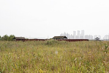 Fototapeta premium 한국 인천시 남동구 소래습지생태공원 입니다