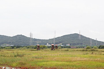 Fototapeta premium 한국 인천시 남동구 소래습지생태공원 입니다