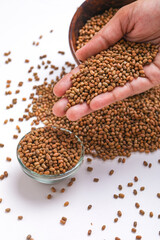 moth beans or matki beans in wooden bowl