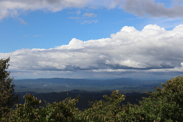 日本の綺麗な空と植物