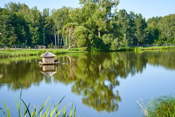 Obraz premium Pond with small house for the ducks in the garden