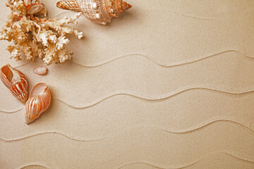 Fototapeta na wymiar Different beautiful sea shells and coral on sand, flat lay. Space for text