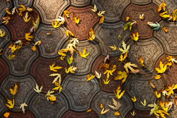 Fallen leaves on the paving slabs.