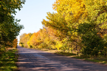 Autumn landscape, amazing colors of autumn. Leaves fall to the ground. Colorful autumn landscapes with warm colors, trees along a paved road.
