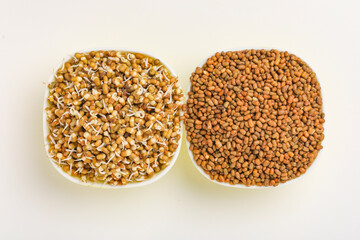 moth beans or matki beans in wooden bowl