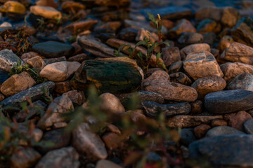 bright colored blue gold small pebbles in clear water sparkles in sunset, lake baikal