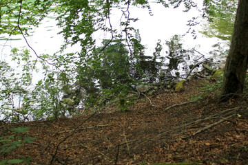 Fototapete bei efototapeten.de bestellen   