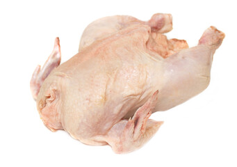 raw hen on a white background