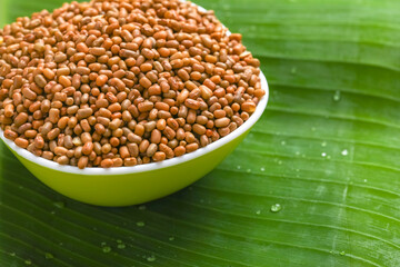 moth beans or matki beans in bowl