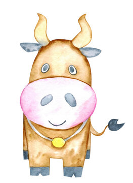 Cow farm animal watercolor. Hand-painted isolated. Cute little bull	
