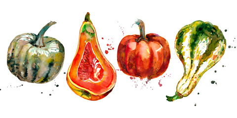 Orange and green pumpkin.Pumpkin festival.Harvest festivalSliced pumpkin.Halloween.Spots of watercolors.Isolated elements on a white background.Watercolor drawing.