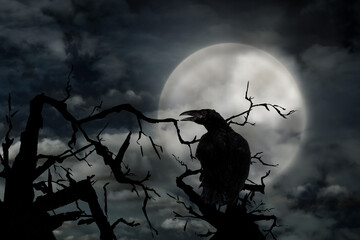 Creepy black crow croaking in misty forest on full moon night