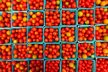 Containers of colorful tomatoes at the farmers market