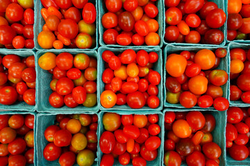 Naklejka na ściany i meble Containers of colorful tomatoes at the farmers market