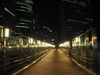 光の回廊