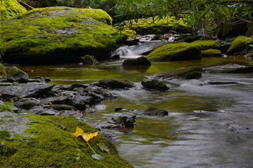 Naklejka na ściany i meble Motion blurred water flowing over moss-covered rocks in Laurel Creek North Carolina