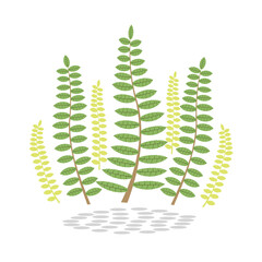 Vector illustration of nature background, leaves, flowers.