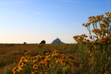 field of flowers in the evening with the Mont Saint-Michel in the background.