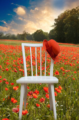 a red hat on white chair standing in field or meadow with red flowers poppy poppies like romantic...