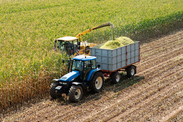 Combine harvester and tractor used in corn harvesting