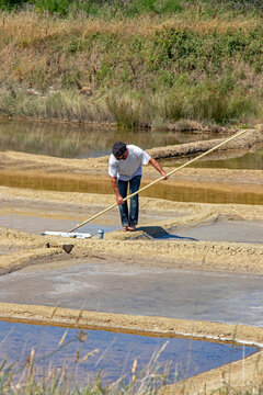 Ile d'Ol&eacute;ron. Grand-Village-Plage. R&eacute;colte du sel par saunier. Charente-Maritime. Nouvelle-Aquitaine	