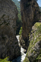 Mountain river flows between rocks in summertime. Fast waterway through gorge on sunny day.