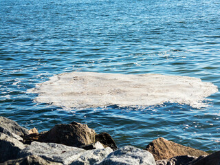 Full frame take of some extremely polluted waters. Dirty sea water. Dirt on water. Dirty oil spots on surface of sea water are polluted as result of sewage runoff. Mud ripples. Ecological problem. 