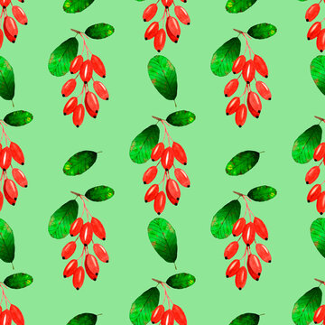 Autumn watercolor seamless pattern of red barberries bunches and green leaves.Isolated on mint background.Botanical hand drawn illustration.For seasonal wallpaper,wrapping paper,fabrics,textiles.