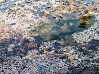 Full frame take of some extremely polluted waters. Dirty sea water. Dirt on water. Dirty oil spots on surface of sea water are polluted as result of sewage runoff. Ecological problem.