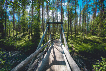 bridge on a hiking path in Finland