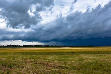 Rural landscape, cereal fields, meadow with menacing dark clouds before the storm