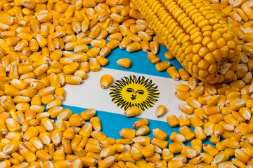 Flag of Argentina covered in corn kernels. Concept of South America and Argentinian agriculture...