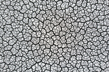 Crackled earth texture of dry lake