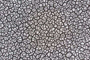 Crackled earth texture of dry lake