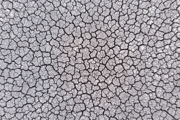Crackled earth texture of dry lake