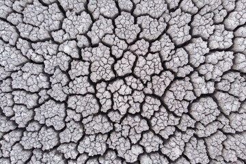 Crackled earth texture of dry lake