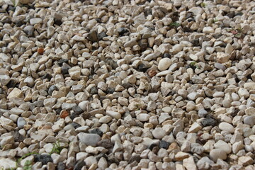 50 shades of grey - 50 sfumature di grigio