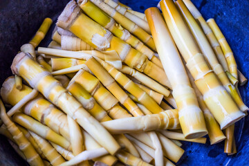 Abstract blur background view of hand peeling bamboo shoots, to boil and cook, see local cooking in rural areas, delicious sweet taste.