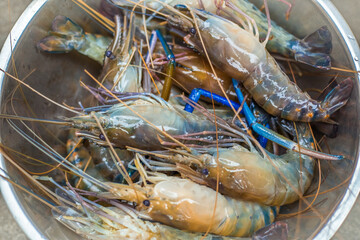 Close-up view of the seafood grill with charcoal stove (shrimp, squid, shellfish) gives it a delicious aroma, eaten with a delicious dipping sauce.