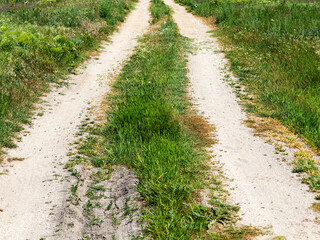 dirt road in countryside on sunny spring day.. Route in beautiful nature landscape with sun, green grass and wildflowers