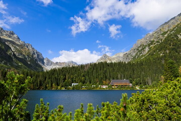 Mountain lake framed by conifers