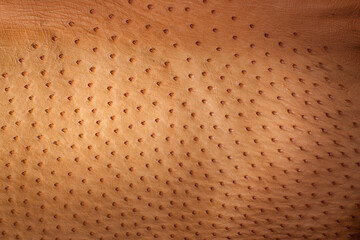 textura piel de avestruz