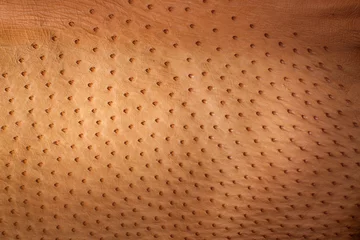 Zelfklevend Fotobehang textura piel de avestruz © Harry Macias