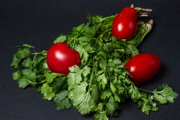 Cilantro and tomatoes on a black background. Fresh cilantro in a bunch, tomatoes lie on the greens. Healthy greens