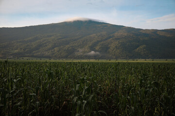 Paisajes de montaña 