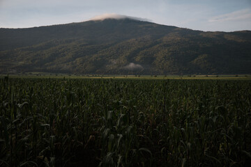 Paisajes de montaña 