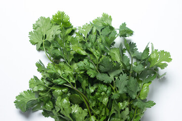 Cilantro on a white background. Fresh cilantro in a bunch. Healthy greens