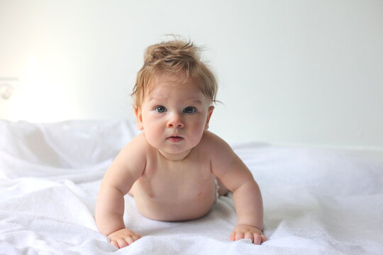 Galam Photos Images Assets Adobe Stock